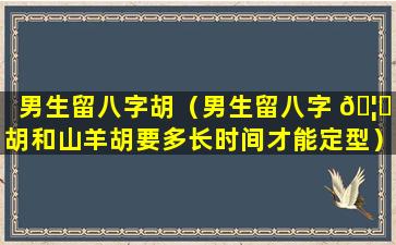 男生留八字胡（男生留八字 🦉 胡和山羊胡要多长时间才能定型）